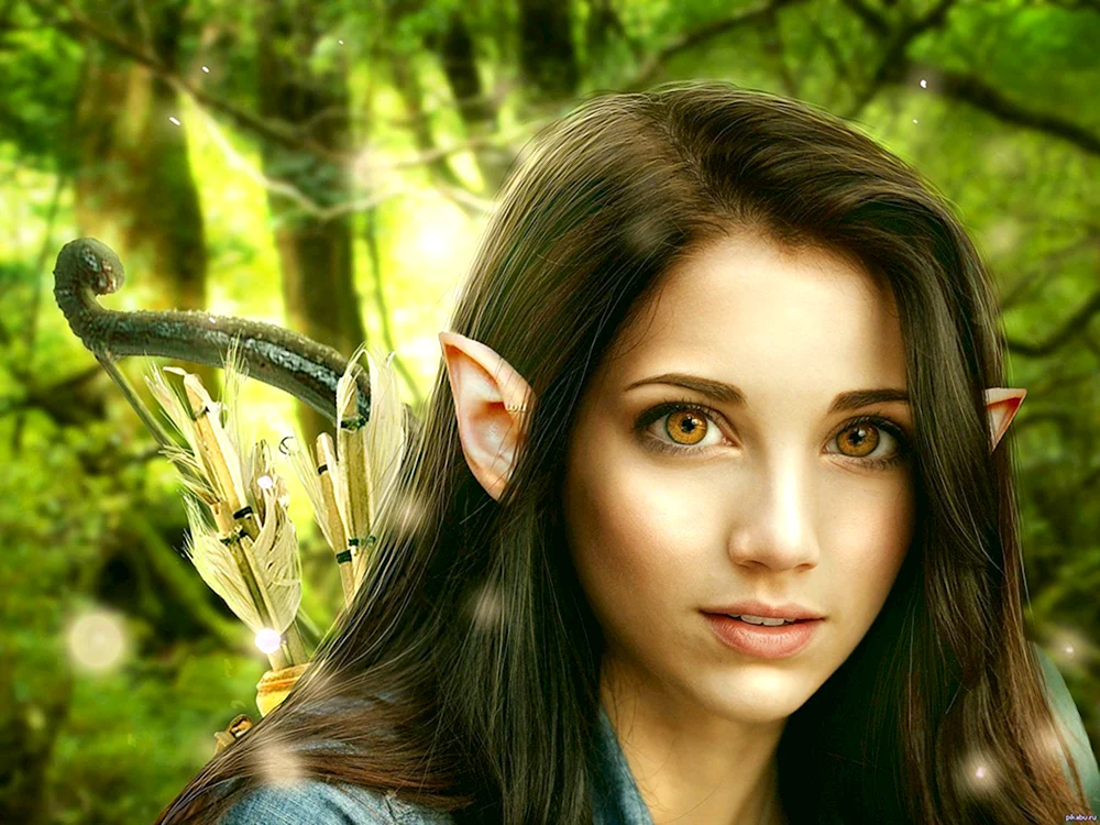 Elfin Anariel