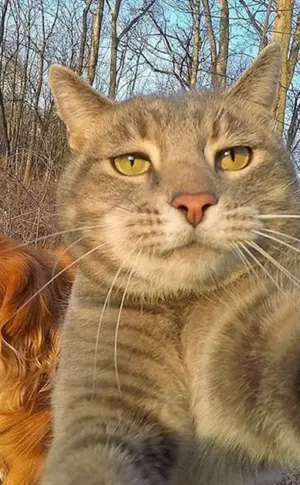 Selfies von Manny