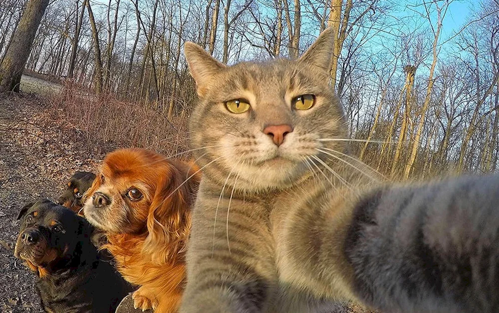 Selfies von Manny