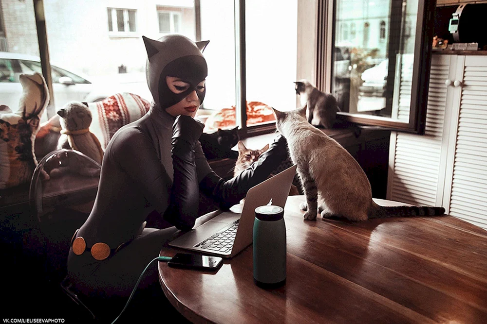 Celina Kyle Cosplay Catwoman