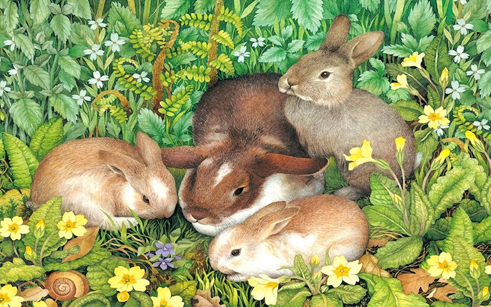 Hasen für Kinder