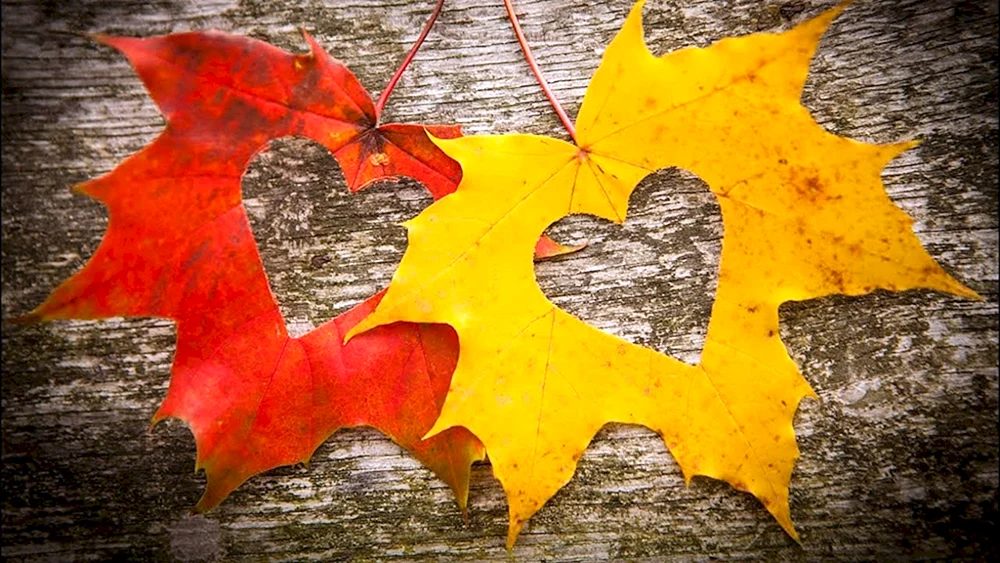 Herbstblattherz