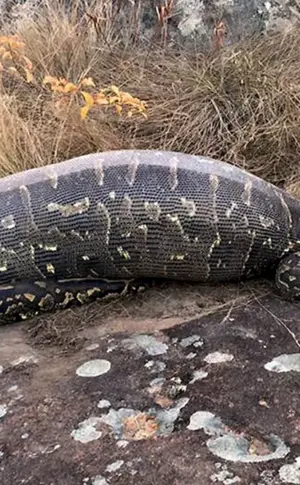 Python und Anakonda