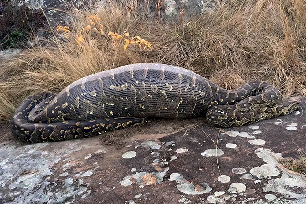 Python und Anakonda