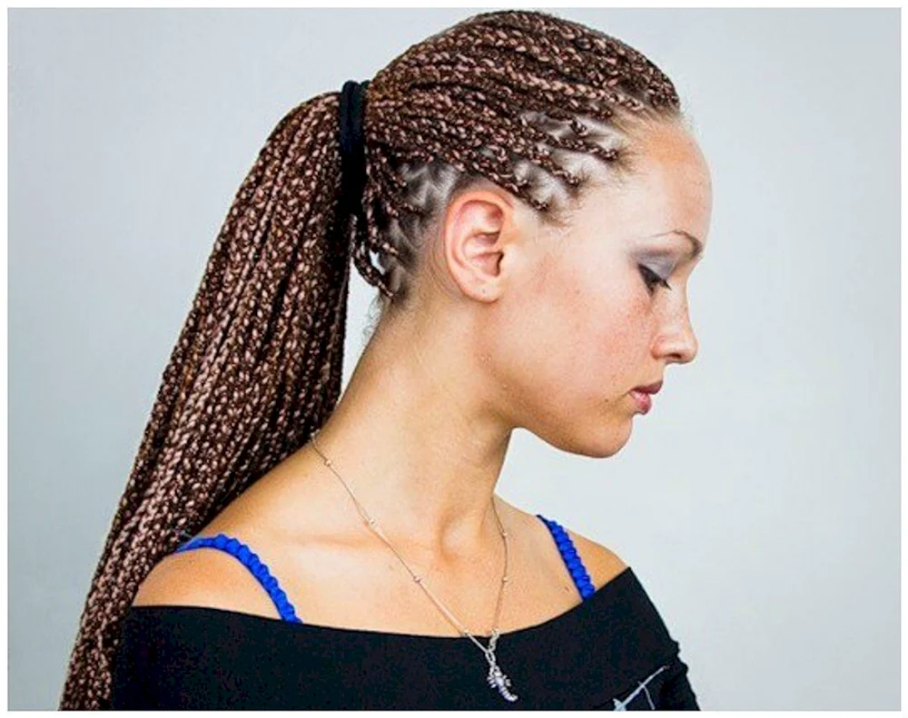 Sphinx französische Zöpfe Afro Zöpfe
