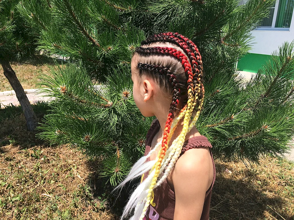 Afrozöpfe Box Braids