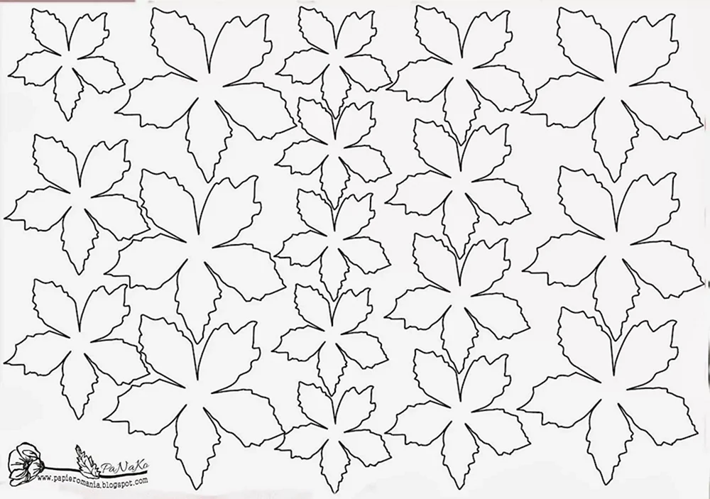 Schablonen für dreidimensionale Blumen