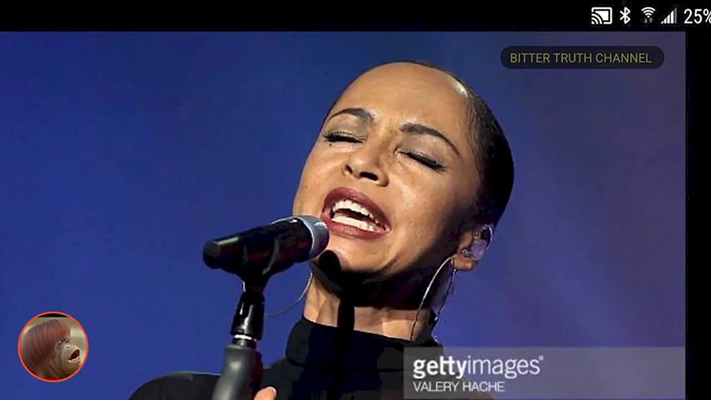 Sade Sängerin