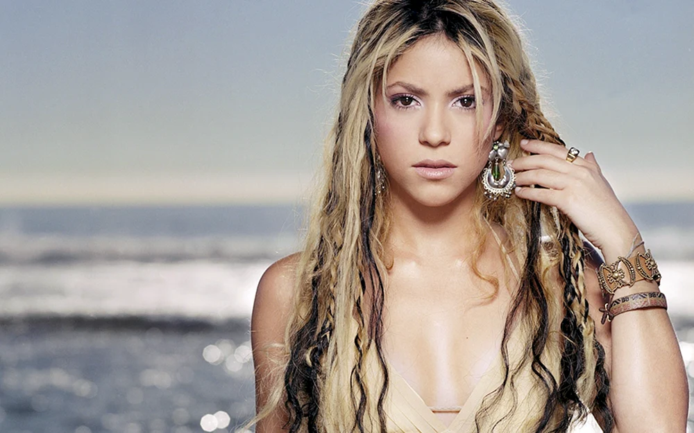 Shakira Sängerin