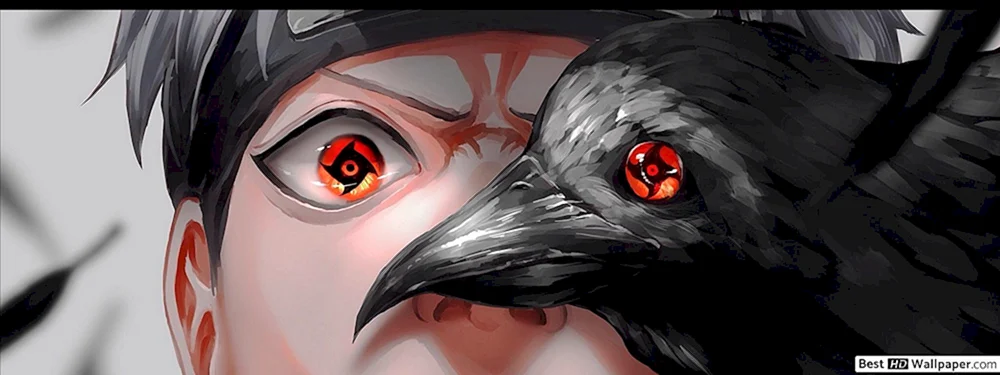 Anime Shinigansu
