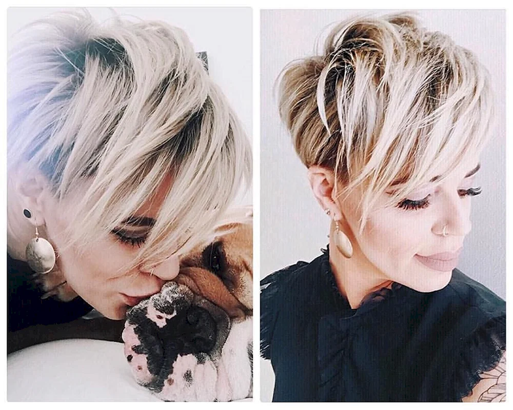 Satouche auf Pixie