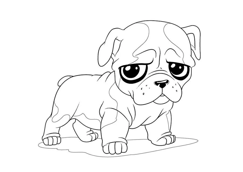 Hund Bleistiftzeichnung