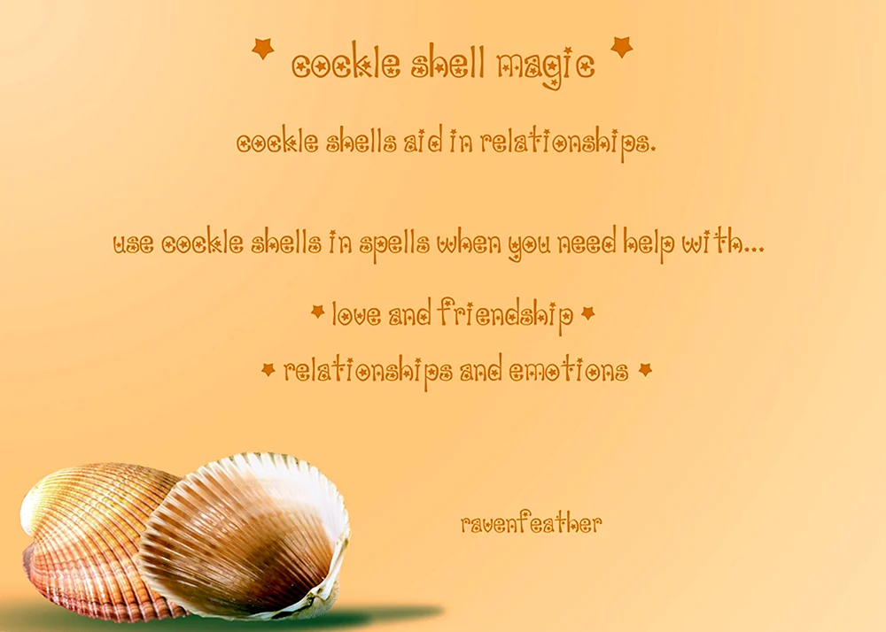 Shell Bedeutung