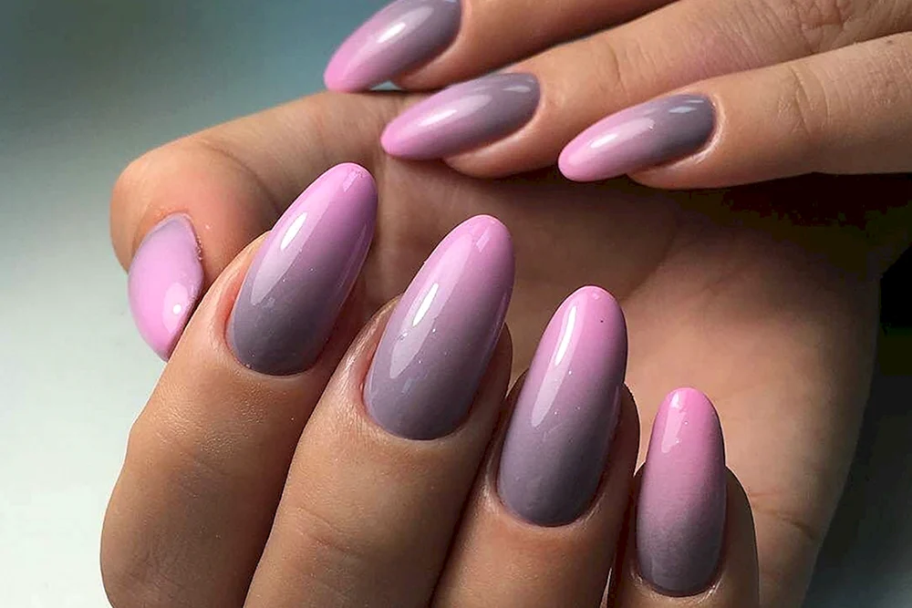 Shellac Mandel Amber