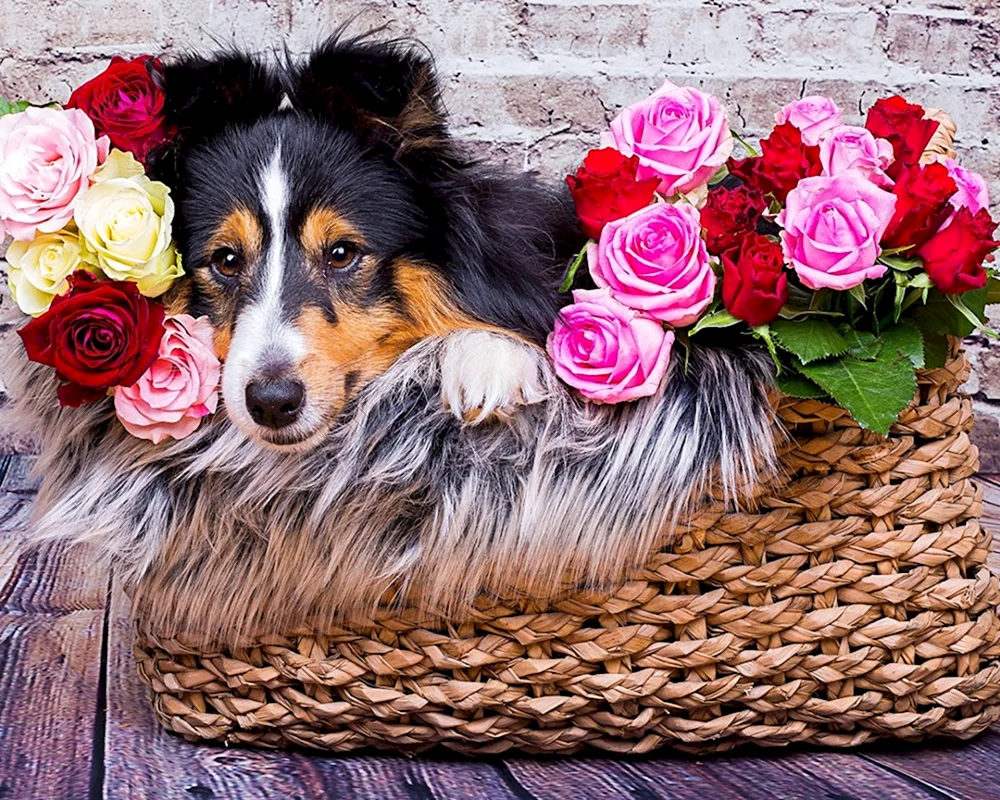 Hund mit Blumen