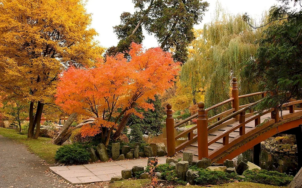 Herbst im Park