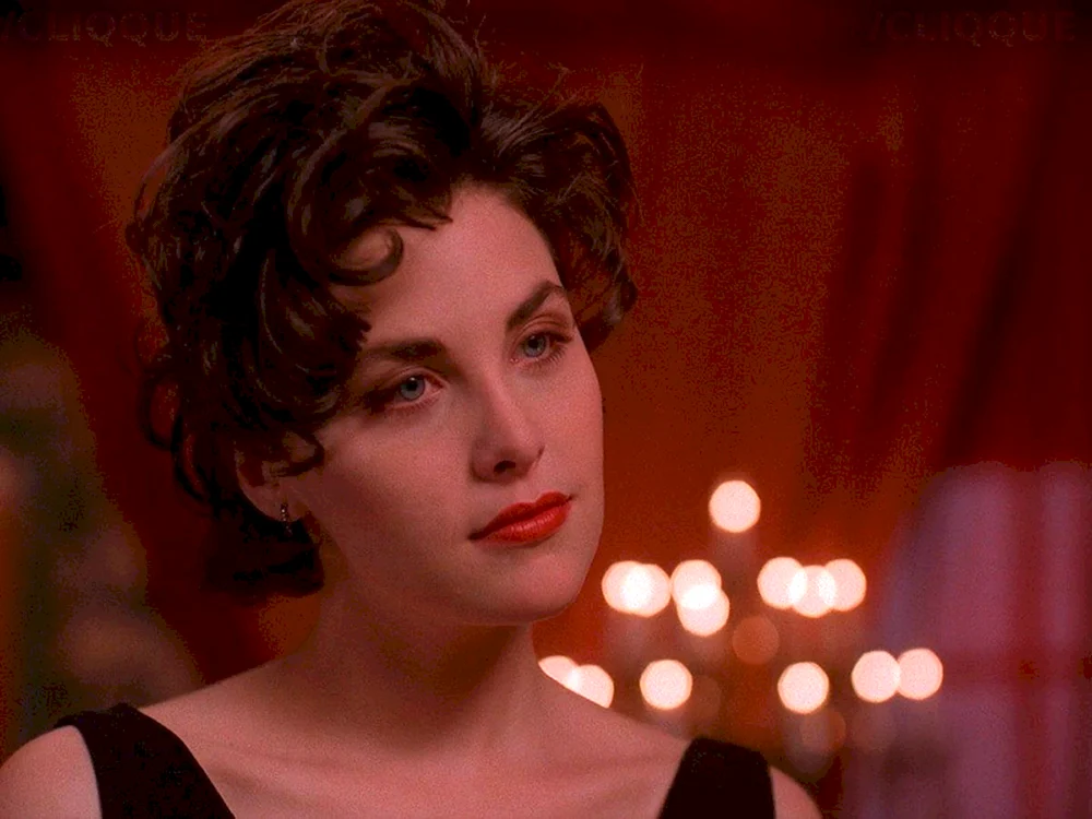 Sherilyn Fenn Twin pix