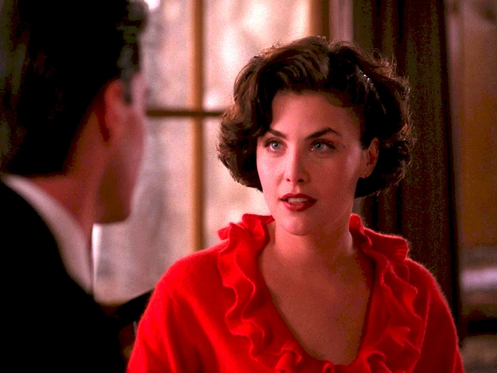 Sherilyn Fenn Twin pix