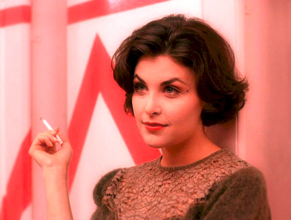 Sherilyn Fenn Twin pix