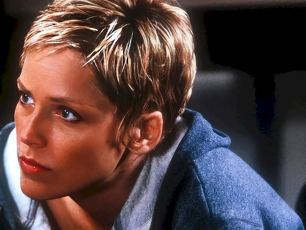 Sharon Stone mit grauem Haar