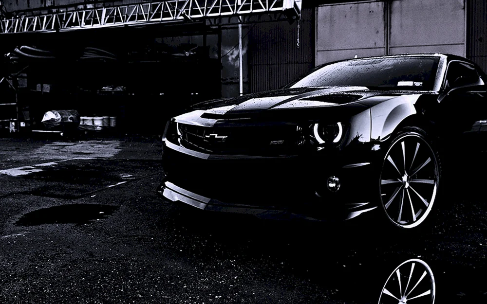 Schädel. Camaro schwarzer Hintergrund