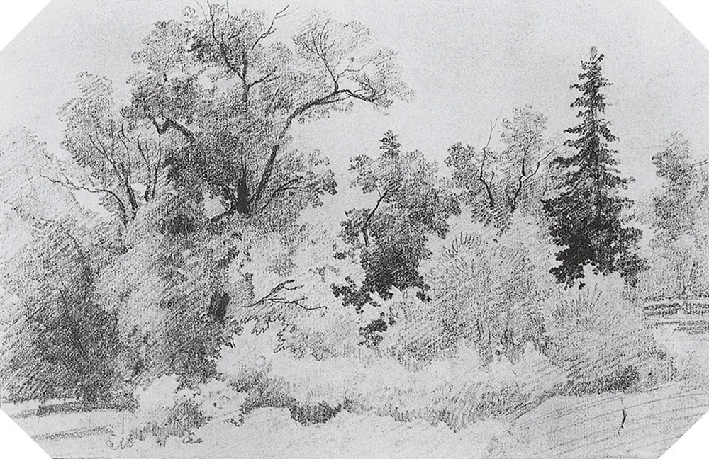 Schischkin Radierungen Winterwald
