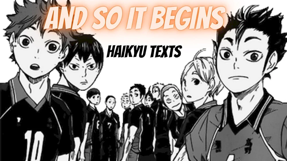 Shoyo Hinata und Karasuno