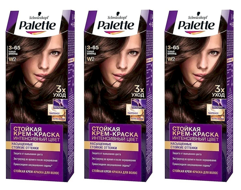 Palette rv6