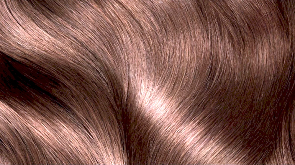 Schokolade Mokka Loreal Gießen