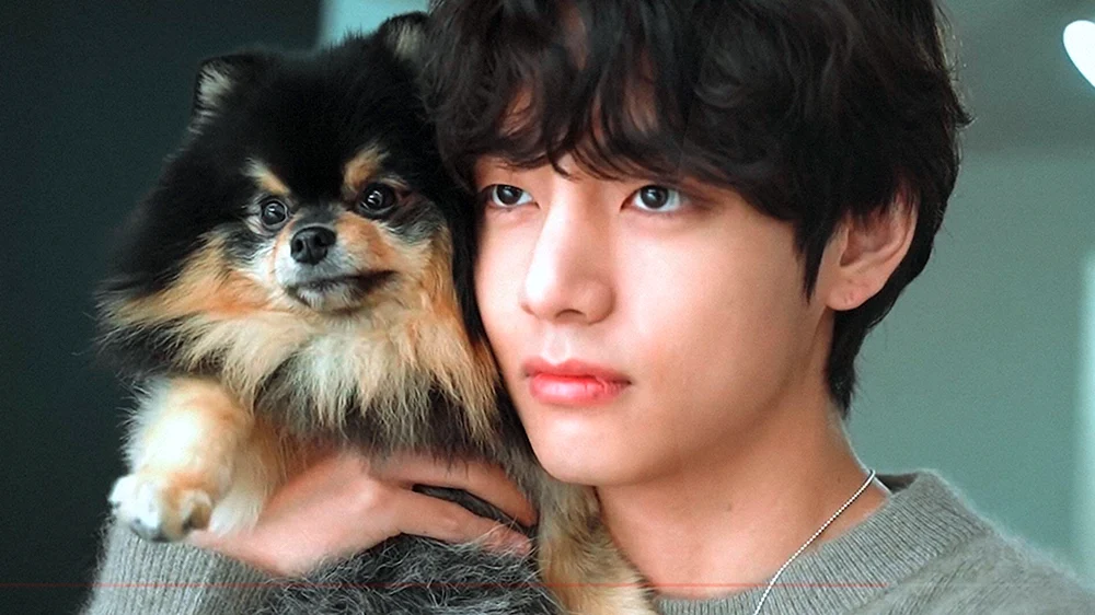 BTS Chimin und Yontan
