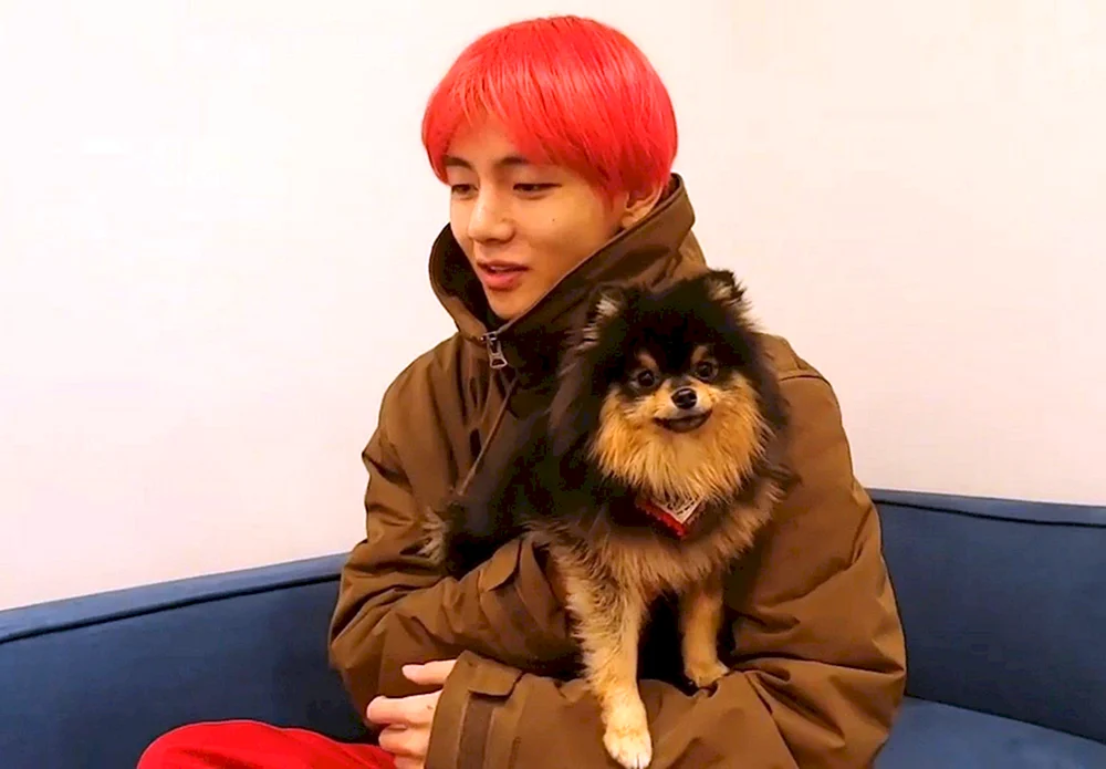 Spitz Yontan BTS