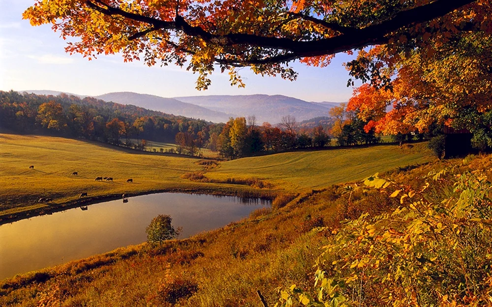 Vermont State Nature