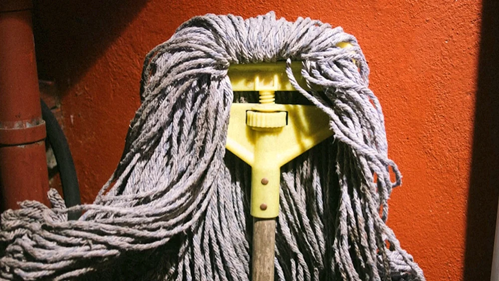 Mop