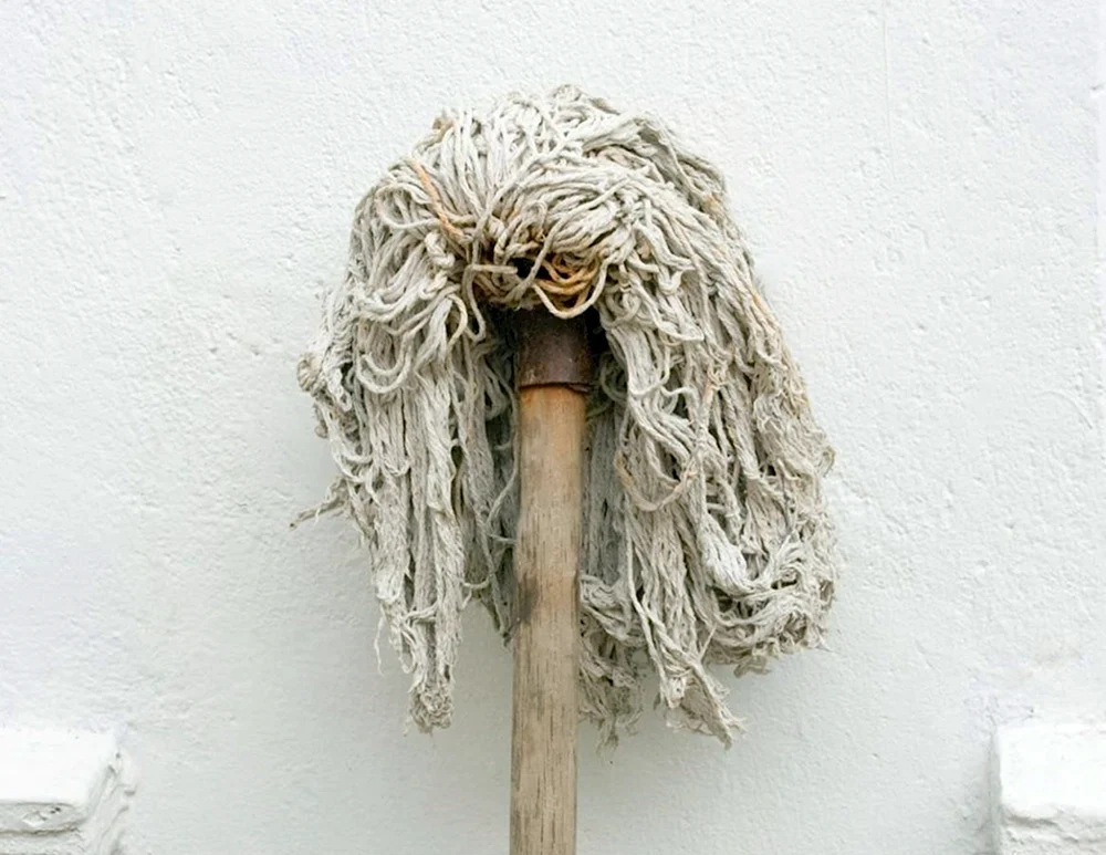 Mop Old