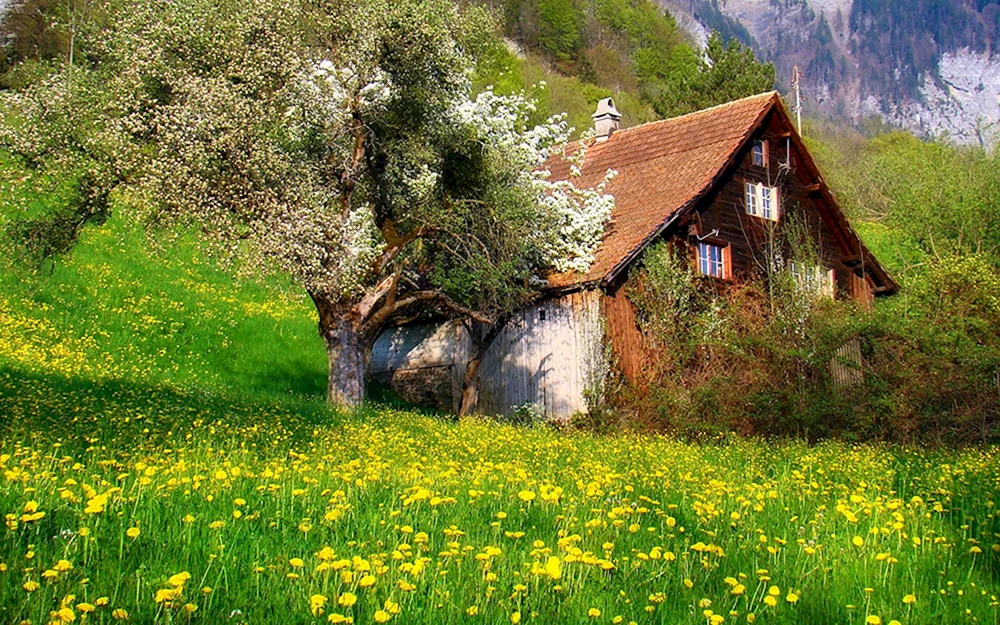 Frühlingshaus