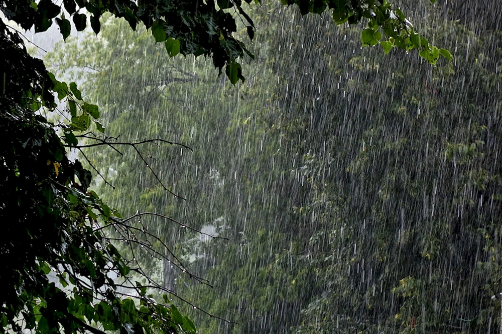 Regen