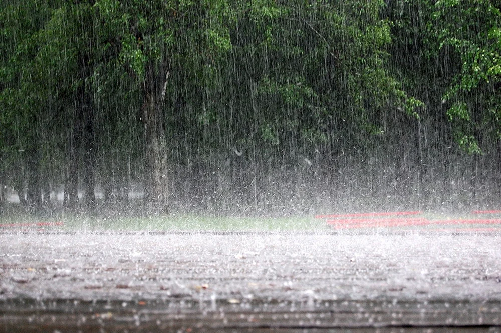 Regen