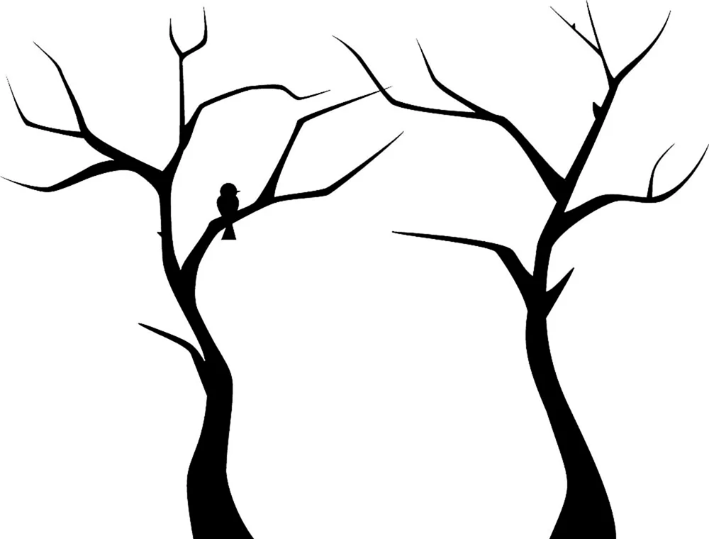 Baumsilhouette