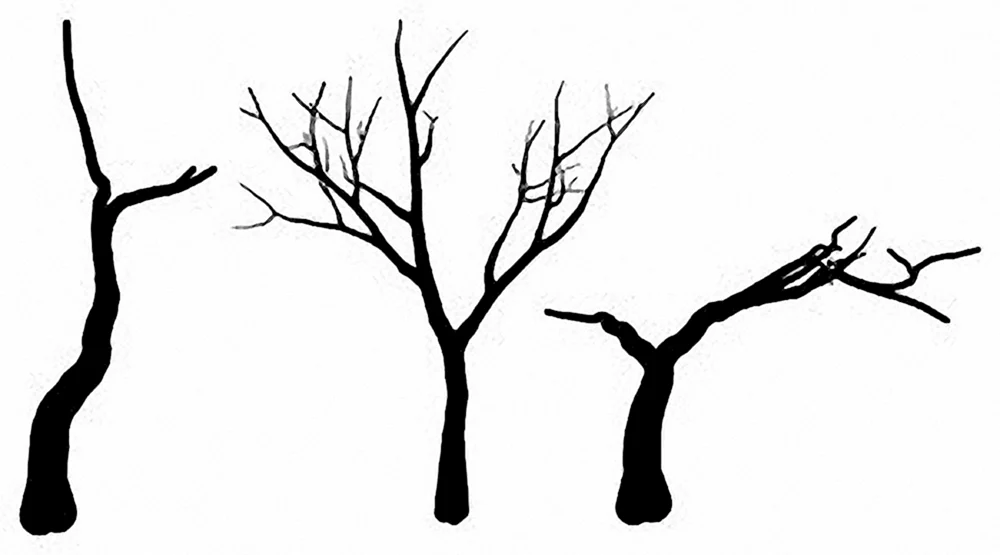 Baumsilhouette