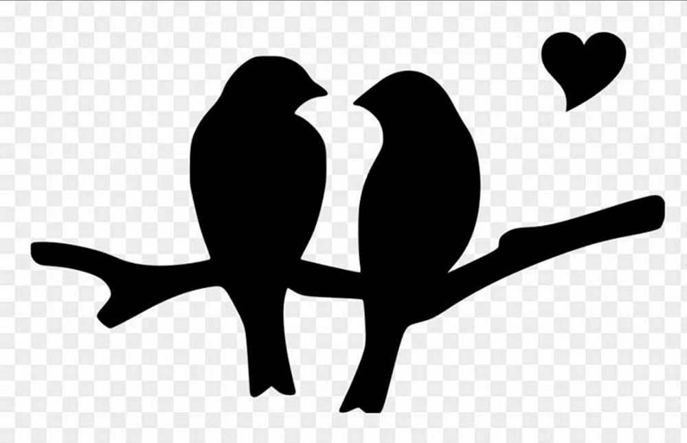 Vogelsilhouette Vögel