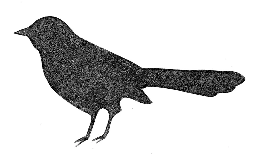 Vögel