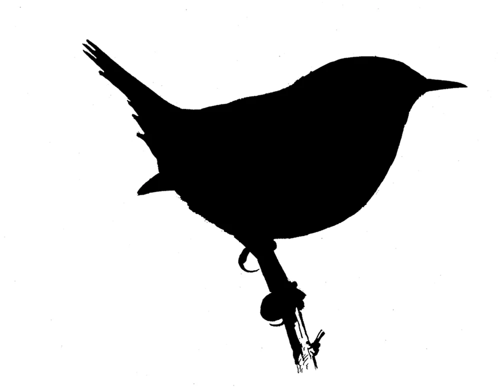 Silhouette des Stares
