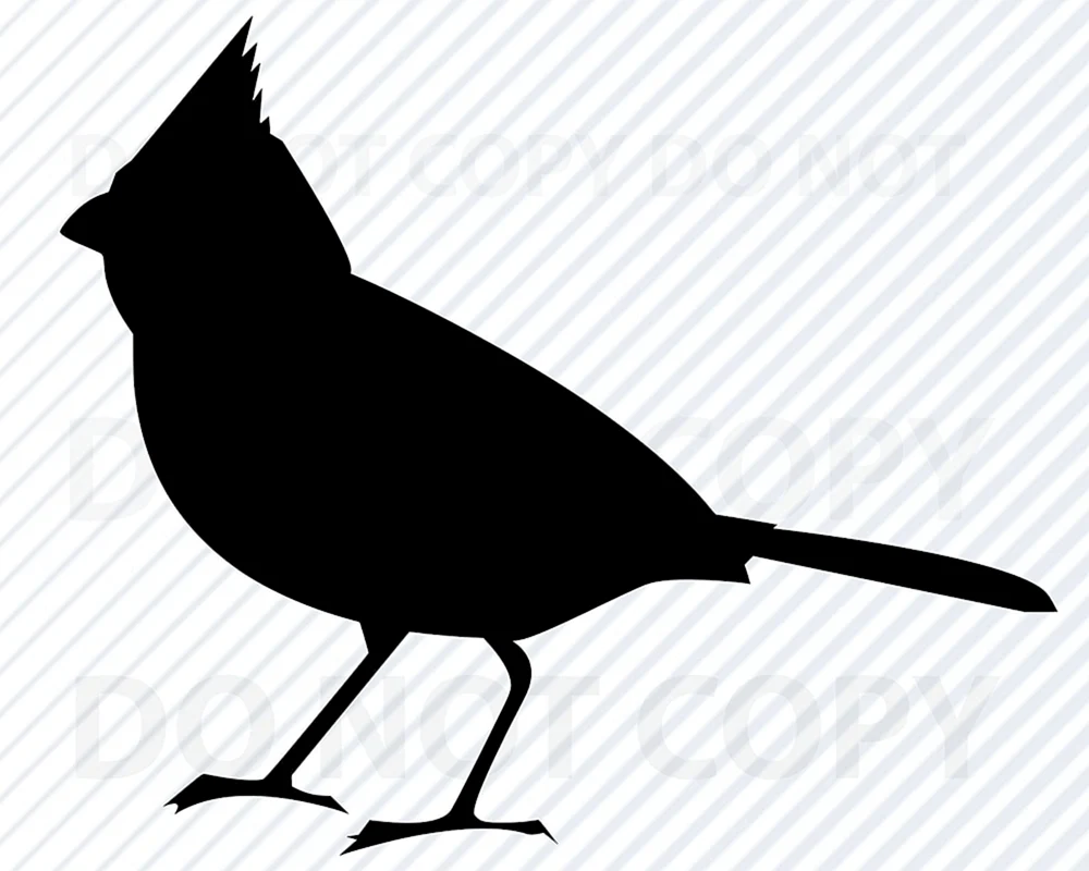 Silhouette des Maskarenenstars