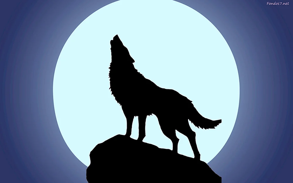 Wolf und Mond
