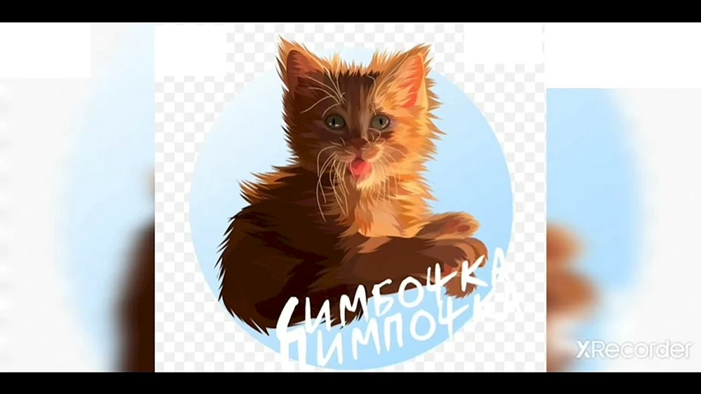 Simba cat