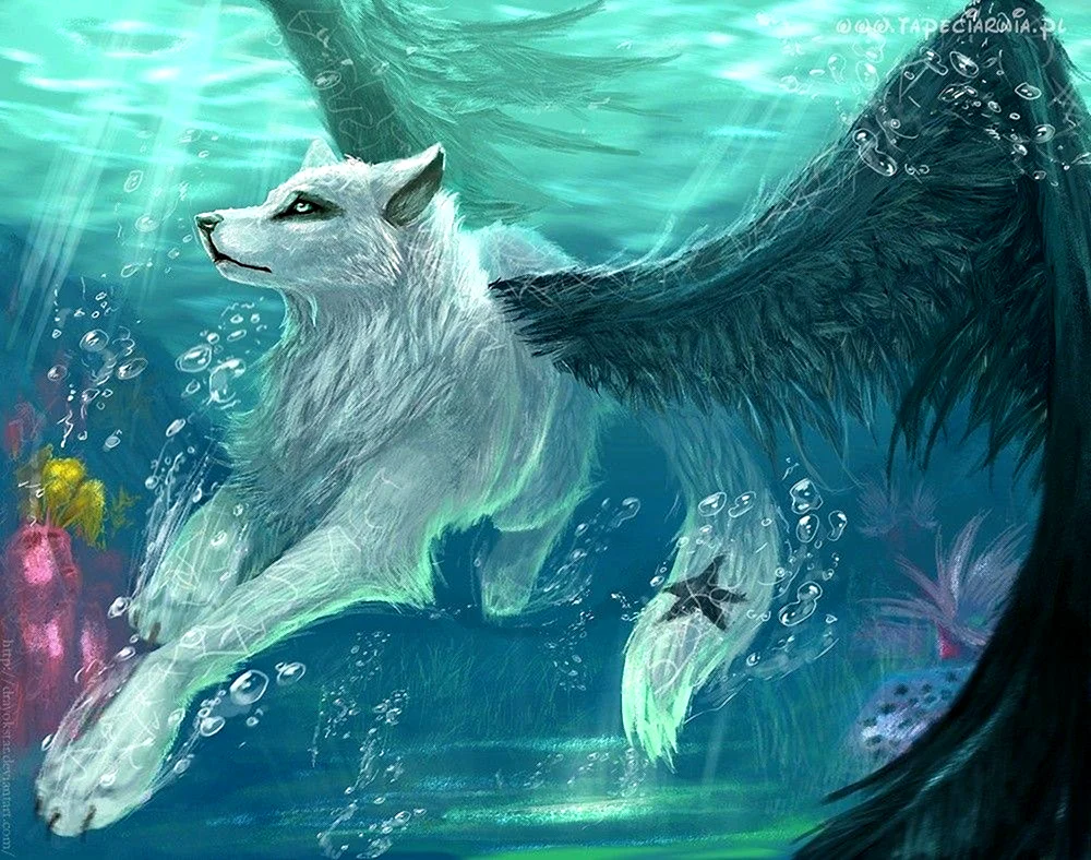 Fetch filga