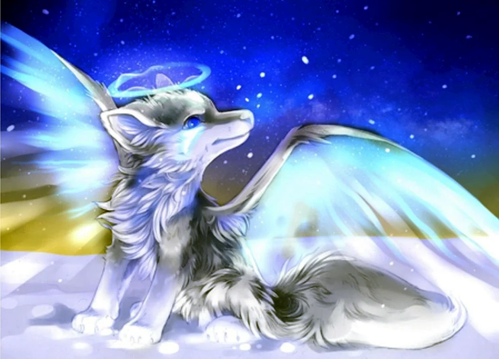 Darenrin Mayura Wolf