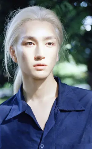 Shin Ye Ji Jian