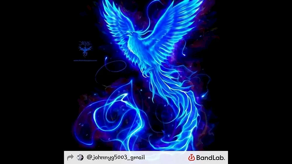Simurgh Vogel Phoenix