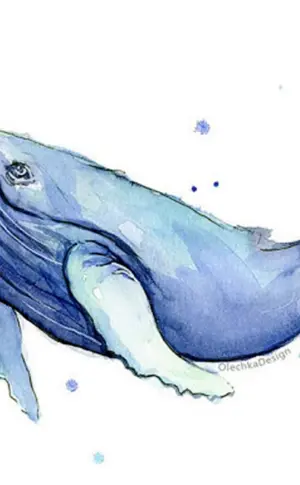 Blauwal Aquarell
